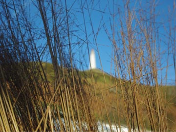 FordPark_current_project