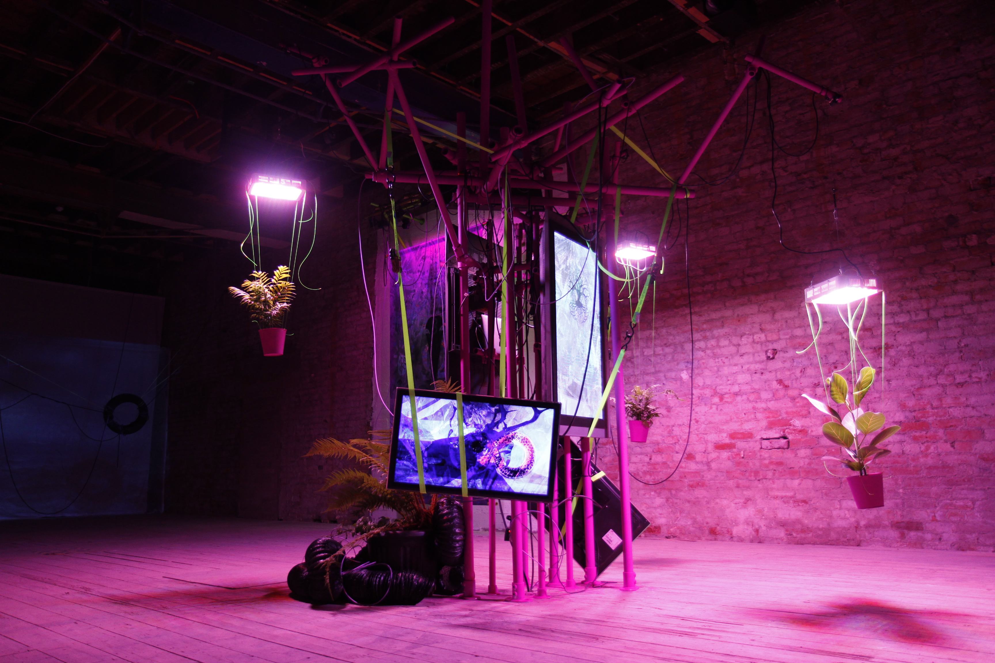 Read more about the article Platform | Will Kendrick Exhibition | 12 Jul – 3 Aug
