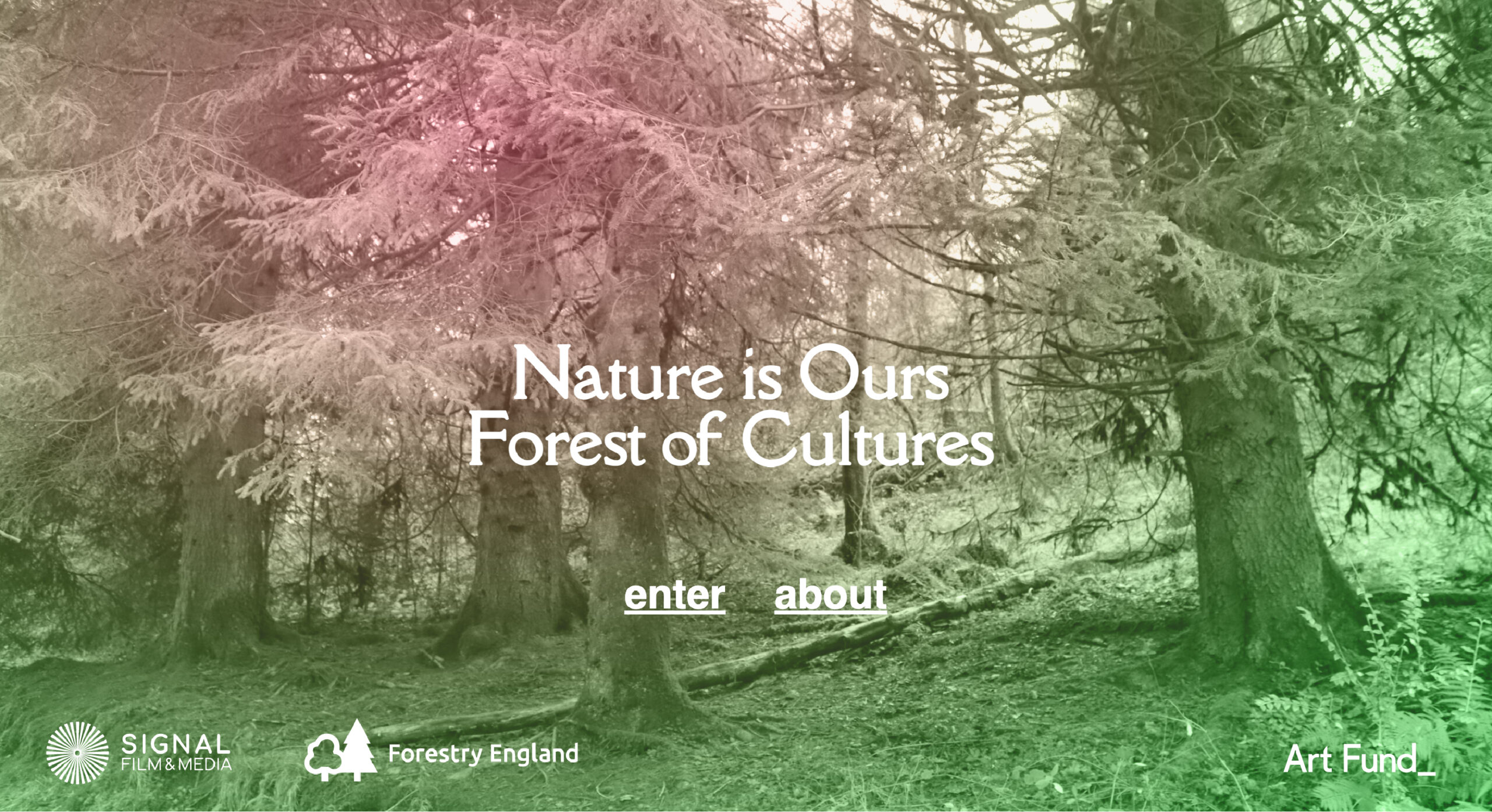 Read more about the article The Digital Forest